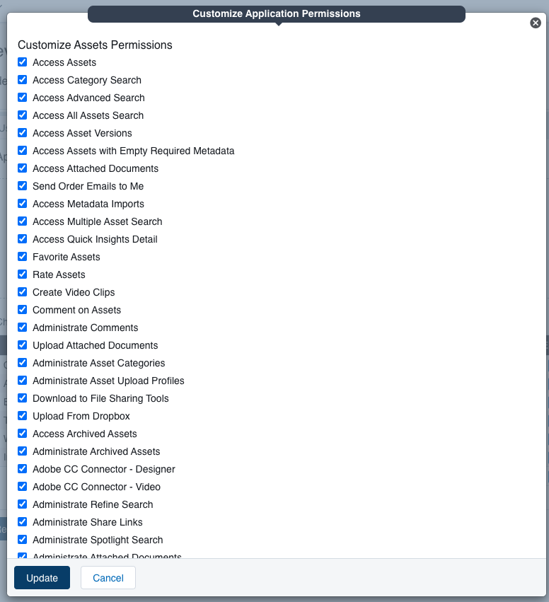 How do I enable application permissions for roles?