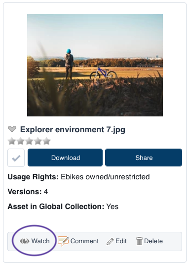 How do I watch assets?