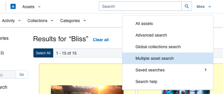 What's the multiple asset search?